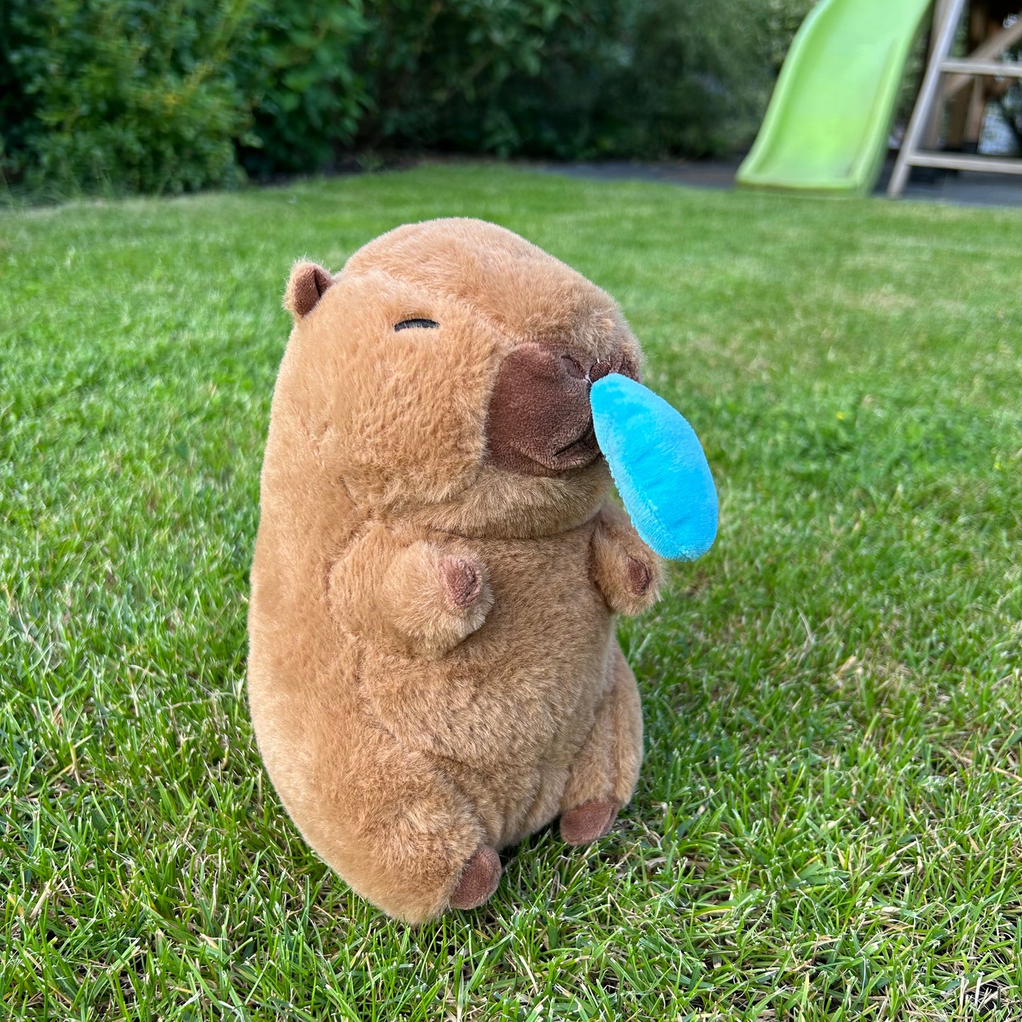 Przeziębiona Kapibara